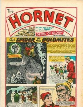 The Hornet #8