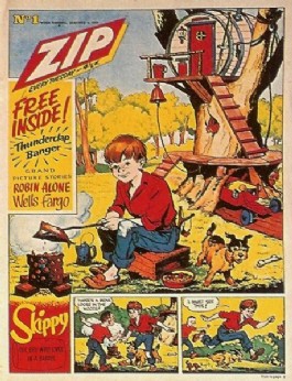Zip #1