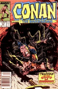 Conan the Barbarian 1970 - 1993 #217