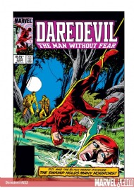 Daredevil (1st Series) 1964 - 2011 #222