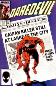 Daredevil (1st Series) 1964 - 2011 #242