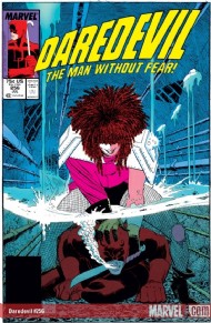 Daredevil (1st Series) 1964 - 2011 #256