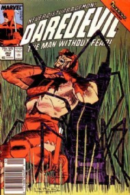Daredevil (1st Series) 1964 - 2011 #262