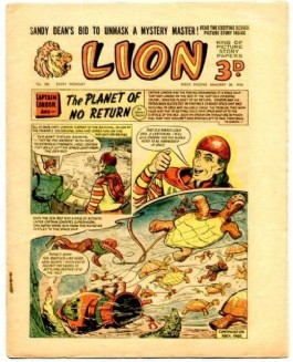 Lion #206