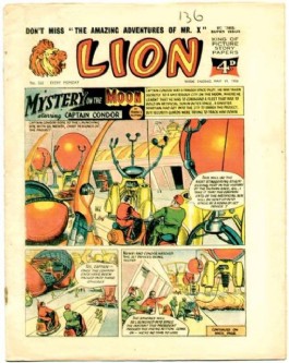 Lion #222