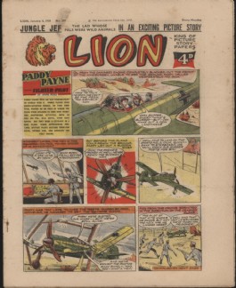 Lion #307