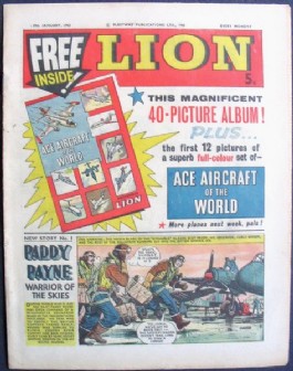 Lion #563