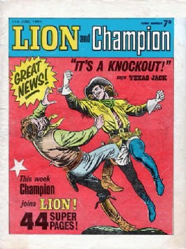 Lion #740