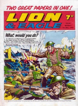 Lion #891