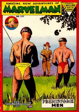 Marvelman #255