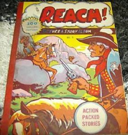 Reach! Picture Story Album