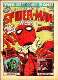 Spider-Man Comics Weekly 1973 - 1985 #334