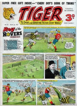 Tiger #29