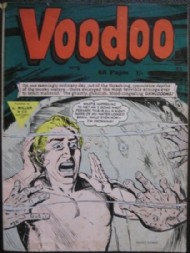 Voodoo 2011 - 2012 #5