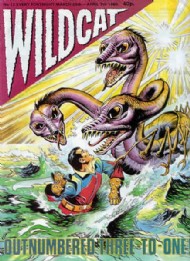 Wildcat 1988 - 1989 #12