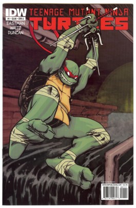 Teenage Mutant Ninja Turtles (IDW) #1