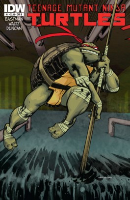 Teenage Mutant Ninja Turtles (IDW) #1