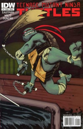 Teenage Mutant Ninja Turtles (IDW) #1