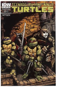 Teenage Mutant Ninja Turtles (IDW) 2011- #24