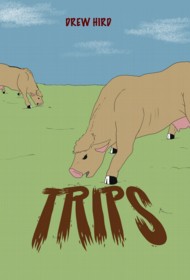 Trips 2017 #0