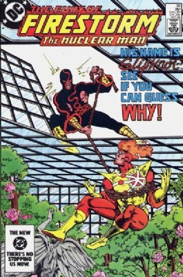 Firestorm (2nd Series) #28