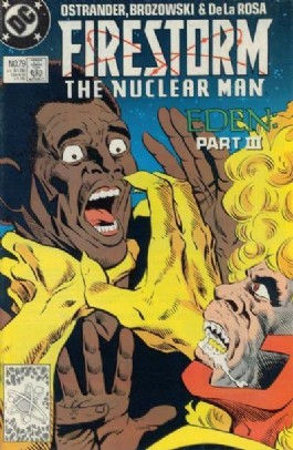 Firestorm (2nd Series) #79