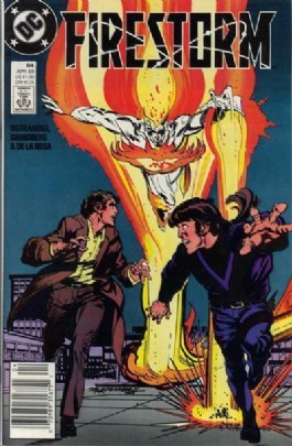 Firestorm (2nd Series) #84