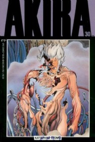 Akira 1988 - 1995 #30