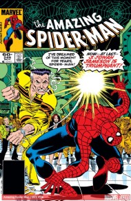 The Amazing Spider-Man (1st Series) 1963 - 2014 #246