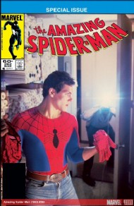 The Amazing Spider-Man (1st Series) 1963 - 2014 #262