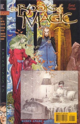 The Books of Magic #1
