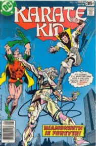 Karate Kid 1976 - 1978 #14