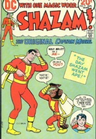 Shazam! 1973 - 1978 #9