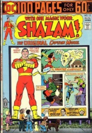 Shazam! 1973 - 1978 #13