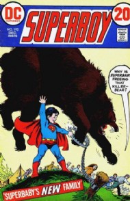 Superboy (1st Series) 1949 - 1979 #192