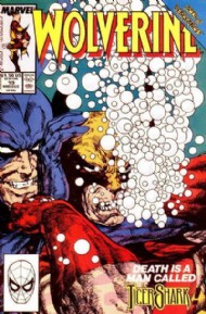 Wolverine (2nd Series) 1988 - 2003 #19