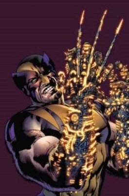 Wolverine: the Best There Is #2