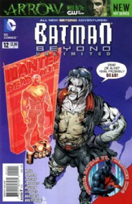 Batman Beyond Unlimited 2012 - 2013 #12