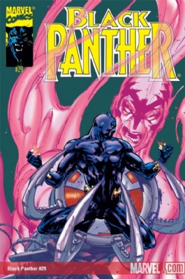 Black Panther (Series Three) #29