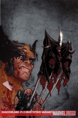 Shadowland #5