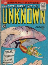 Adventures Into the Unknown 1955 - 1956 #11