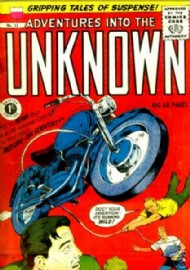 Adventures Into the Unknown 1955 - 1956 #12