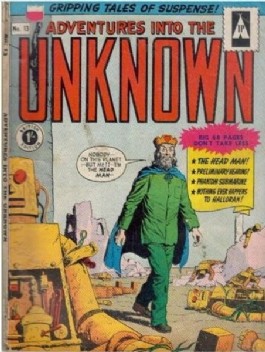 Adventures Into the Unknown #13