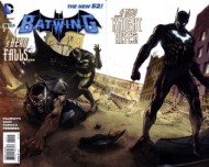 Batwing 2012 - 2014 #19