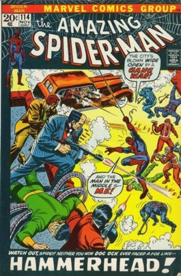 The Amazing Spider-Man (1st Series) #114