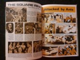 Story Page